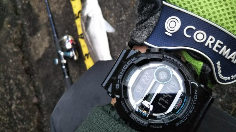 ぶらシーバス！！