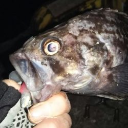 ぶらワーミング！！