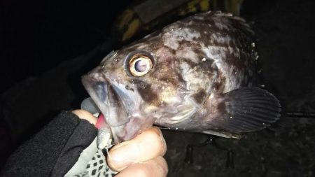 ぶらワーミング！！