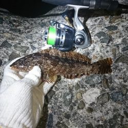 場所を変えてみた