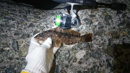 場所を変えてみた