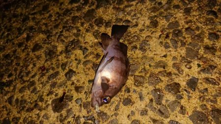 激シブの中、４目