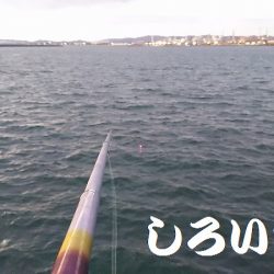 父とタチウオ釣行。