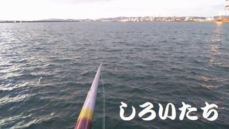 父とタチウオ釣行。