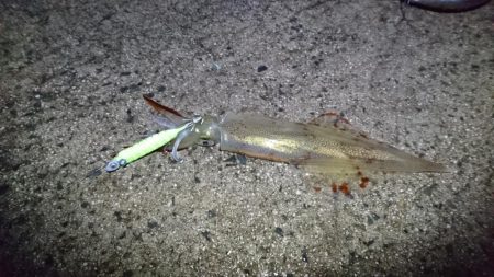 初ポイントにてテーラー好調