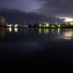 早朝から人だらけ