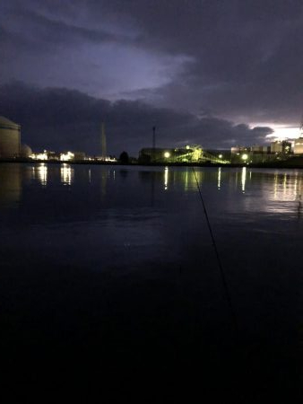 早朝から人だらけ