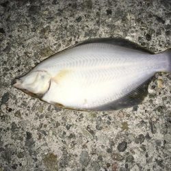 厳寒期は餌を楽しむ