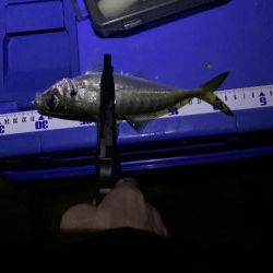 フロートアジング