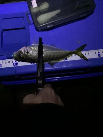 フロートアジング