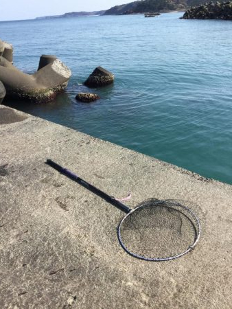 河口シーバス？