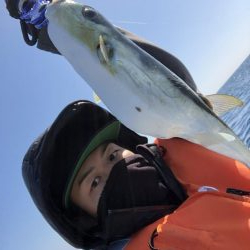 宇佐沖オフショア釣果