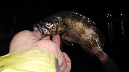 風が止んだら海洋調査