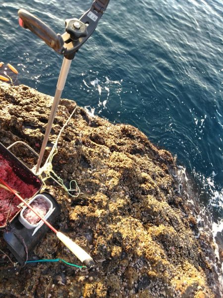 フカセが一番・・面白いです・・