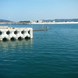 昼間は暖かい予報なので