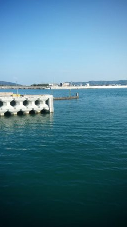 昼間は暖かい予報なので