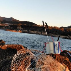 フカセが一番・・面白いです・・