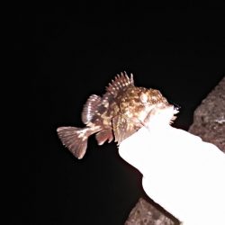 タフコンディション