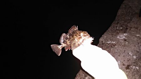 タフコンディション