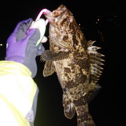 レアタケノコゲットだぜ