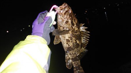 レアタケノコゲットだぜ