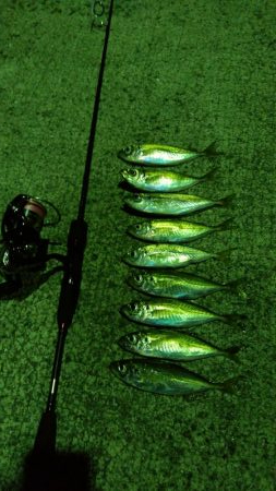 風も無く暖かそうなので