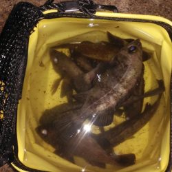 本日も修行なり