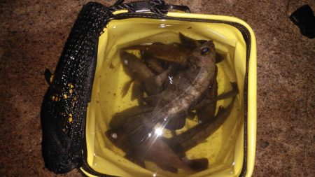 本日も修行なり