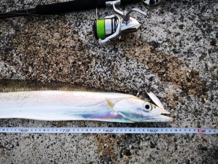 久しぶりにナイスサイズ釣れました