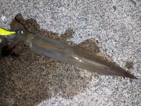 混雑の中小堤防で