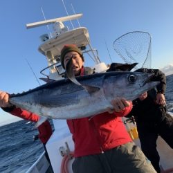 ビンチョウマグロギジング