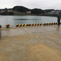 アジ16匹、尺アジ1匹