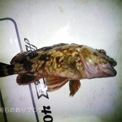 乗っ込みの気配