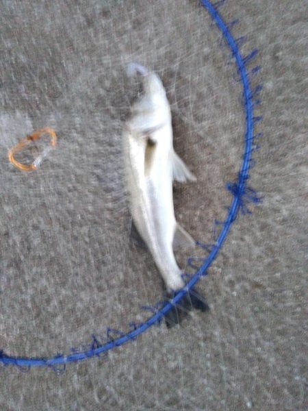 神戸ホームタウン