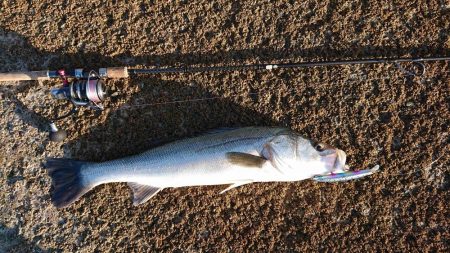 寒~い中、何とか一尾!