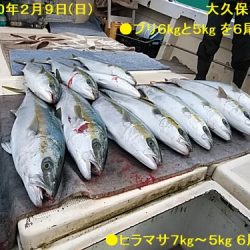 大物釣果速報！●光義丸：平戸市早福港