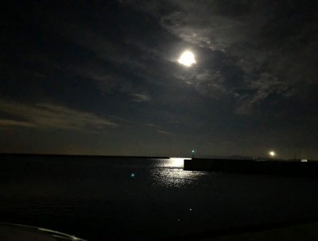 メバルはどこへ？？？