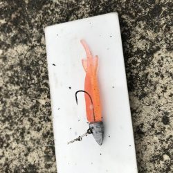 2月25日流れに逆らい連発