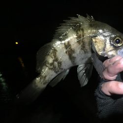 ２月もよろしくお願いします！！