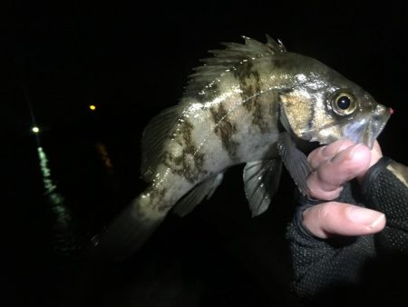 ２月もよろしくお願いします！！