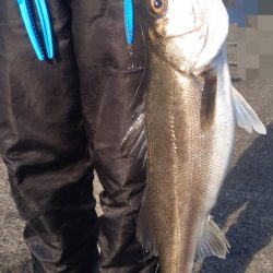 ライトショアジギング