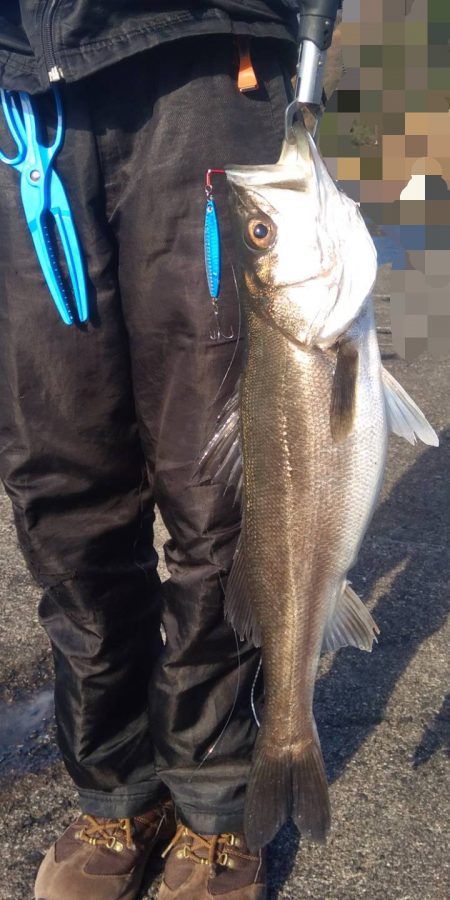 ライトショアジギング