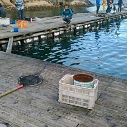 久し振り海洋釣堀でファミリーフィッシング