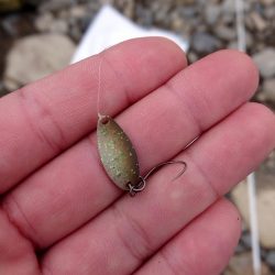 楽しいニジマス釣り