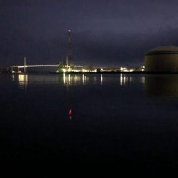 早朝から人だらけ