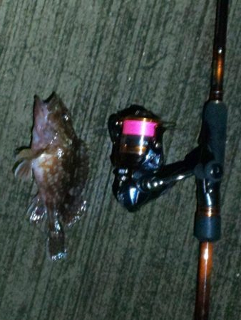 スノームーンは寒かった