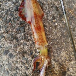 時合は、一瞬？