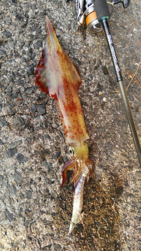 時合は、一瞬？