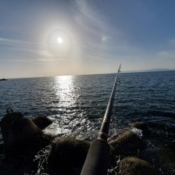 久々の青物ゲット!