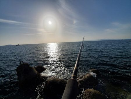 久々の青物ゲット!